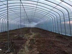 批發各種大棚骨架上門定做各種養殖大棚蔬菜種植大棚